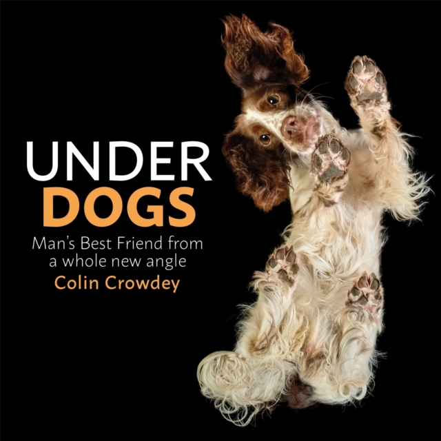 Underdogs - Colin Crowdey