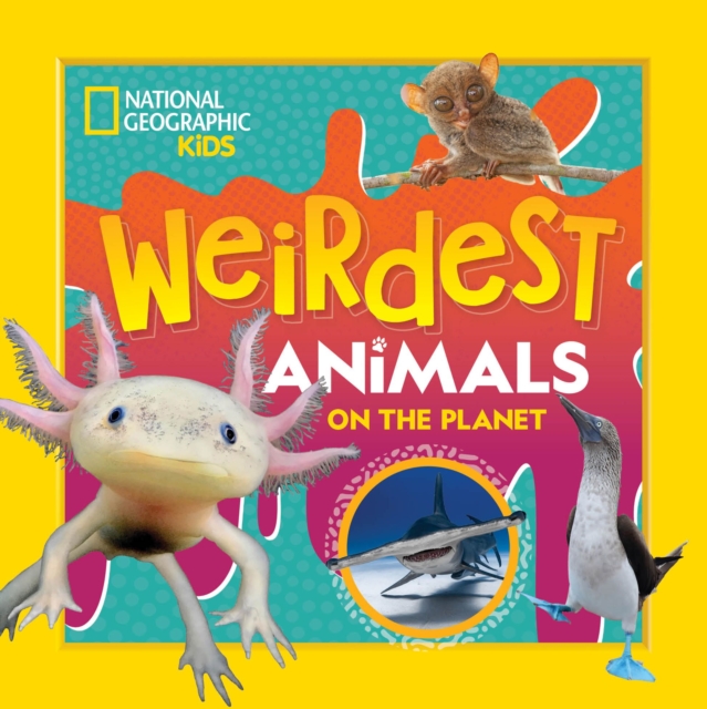 Weirdest Animals on the Planet - 