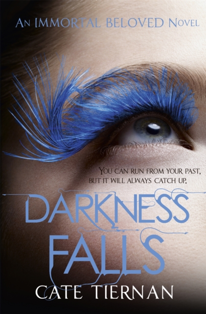 Darkness Falls (Immortal Beloved Book Two) - Cate Tiernan