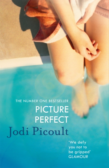 Picture Perfect - Jodi Picoult