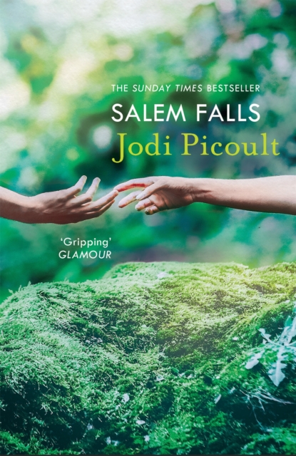 Salem Falls - Jodi Picoult