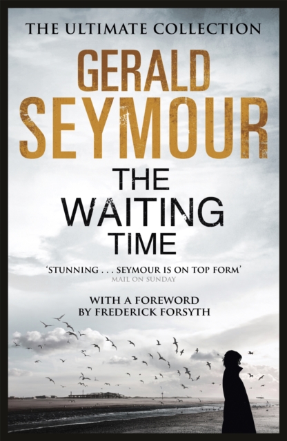 Waiting Time - Gerald Seymour