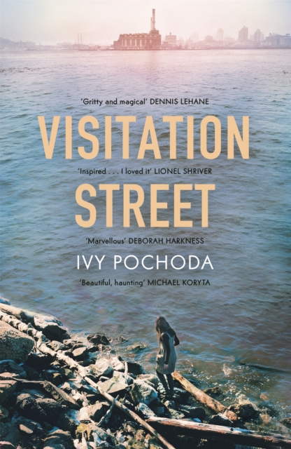 Visitation Street - Ivy Pochoda