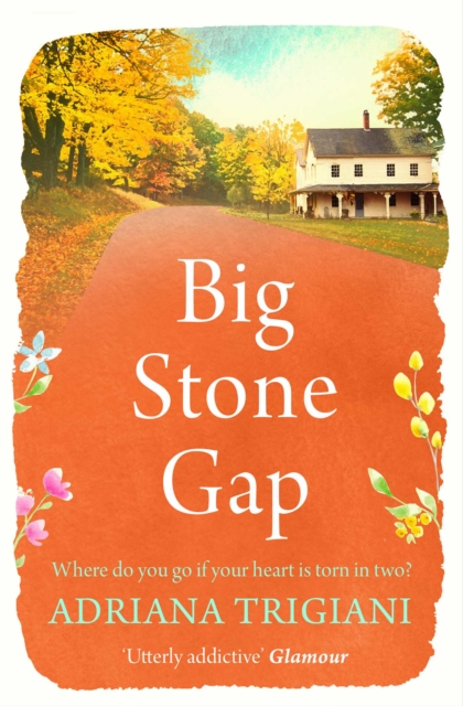 Big Stone Gap - Adriana Trigiani