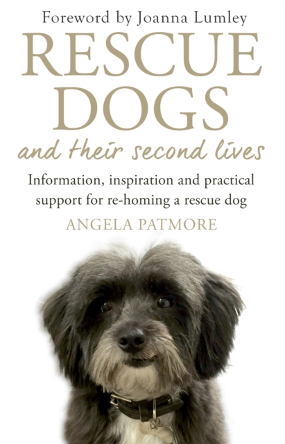 Rescue Dogs and Their Second Lives - Angela Patmore