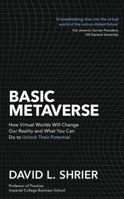 Basic Metaverse - David Shrier