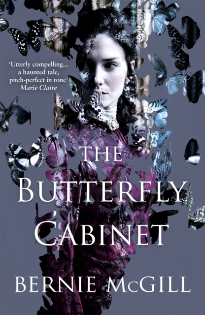 Butterfly Cabinet - Bernie Mcgill