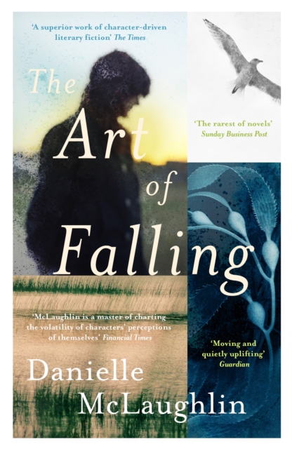 Art of Falling - Danielle Mclaughlin