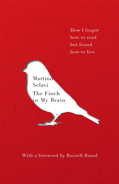 Finch in My Brain - Martino Sclavi