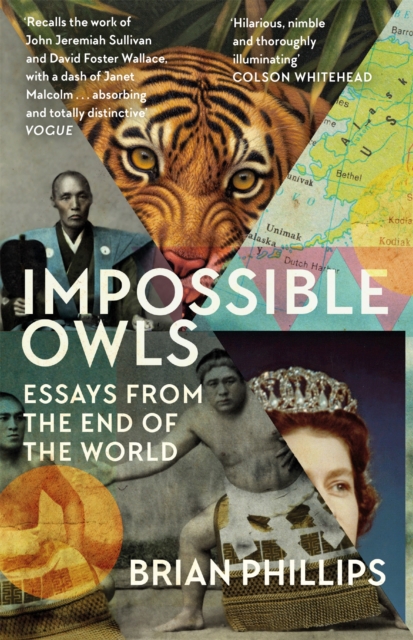 Impossible Owls - Brian Phillips