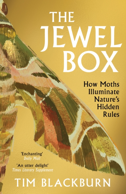 Jewel Box - Tim Blackburn