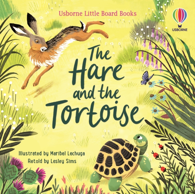 Hare and the Tortoise - Lesley Sims