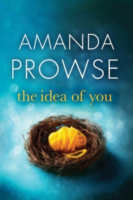 Idea of You - Amanda Prowse