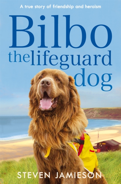 Bilbo the Lifeguard Dog - Steven Jamieson