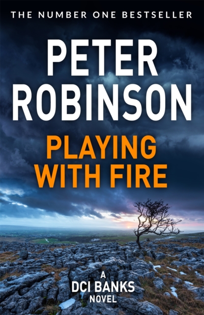 Playing With Fire - Peter Robinson