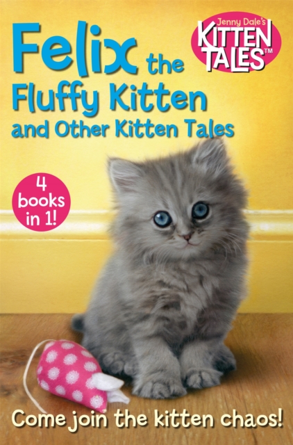 Felix the Fluffy Kitten and Other Kitten Tales - Jenny Dale