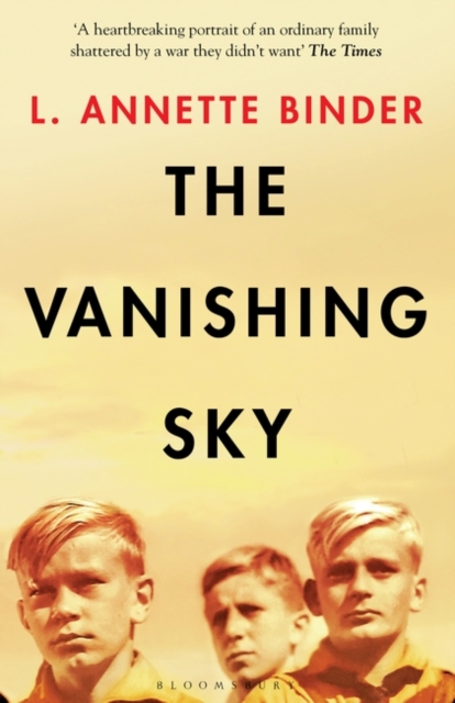 Vanishing Sky - L. Annette Binder