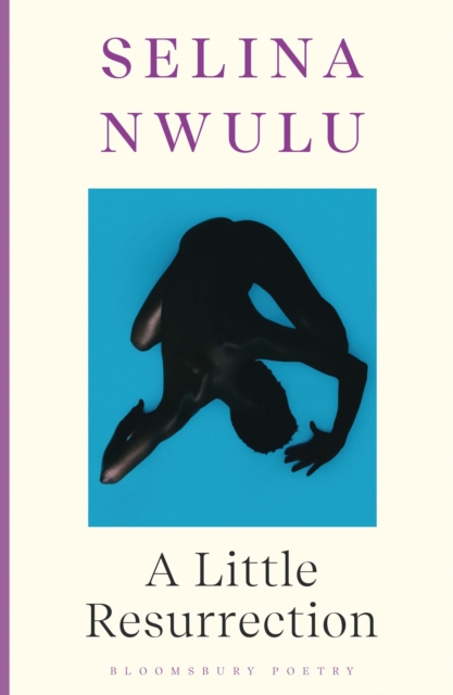 Little Resurrection - Selina Nwulu