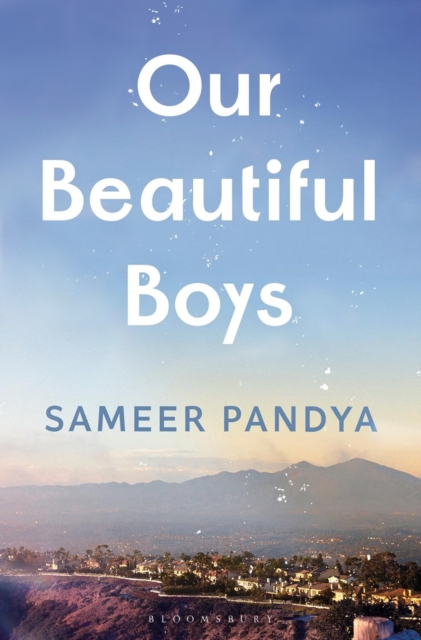 Our Beautiful Boys - Sameer Pandya
