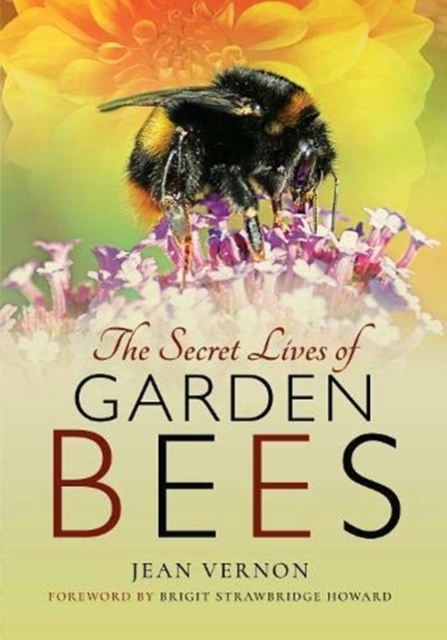 Secret Lives of Garden Bees - Jean Vernon