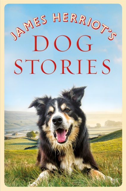 James Herriot's Dog Stories - James Herriot