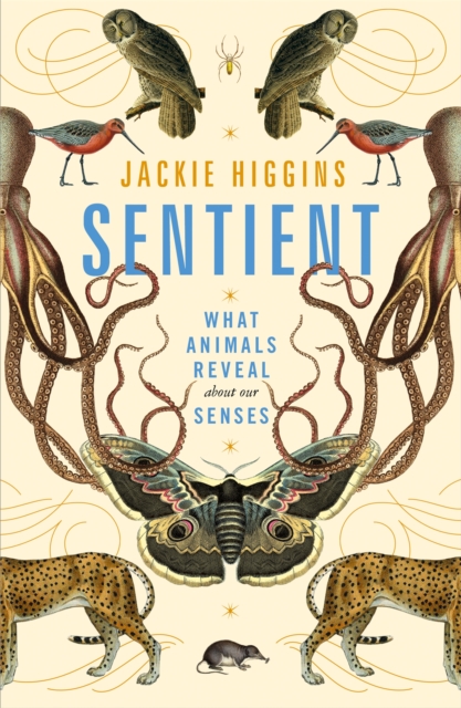 Sentient - Jackie Higgins