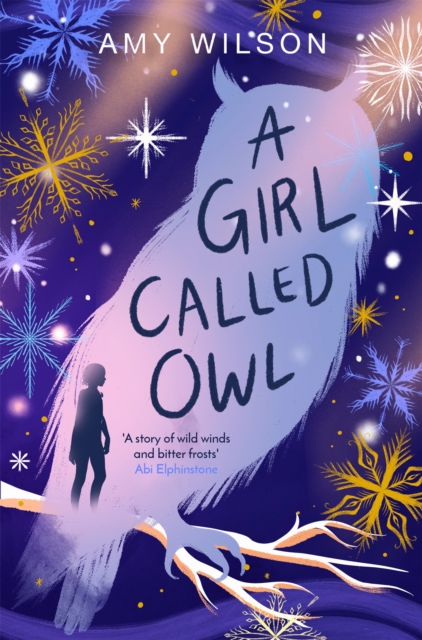 Girl Called Owl - Amy Wilson