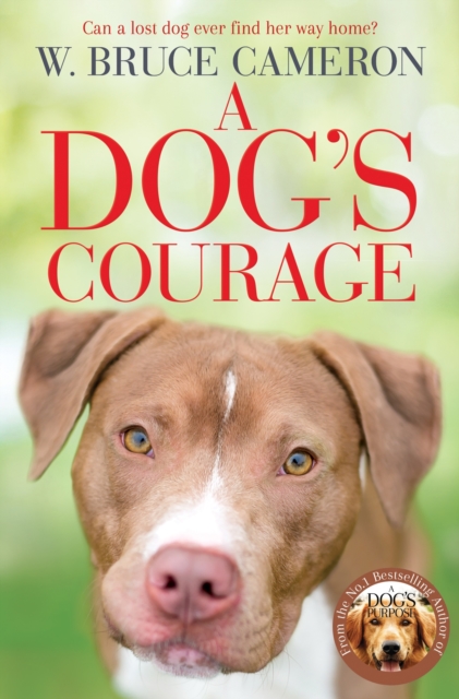 Dog's Courage - W. Bruce Cameron