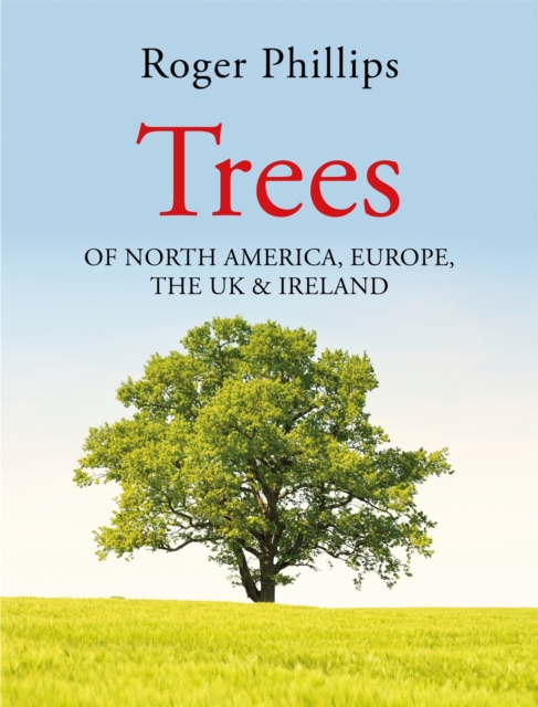 Trees - Roger Phillips