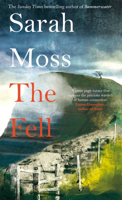 Fell - Sarah Moss