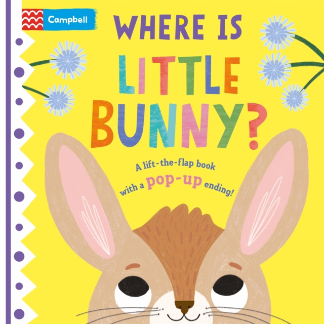 Where is Little Bunny? - Campbell Books