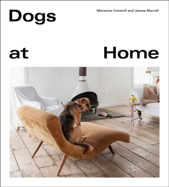 Dogs at Home - Marianne|merrell Cotterill