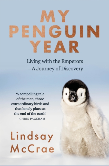 My Penguin Year - Lindsay Mccrae