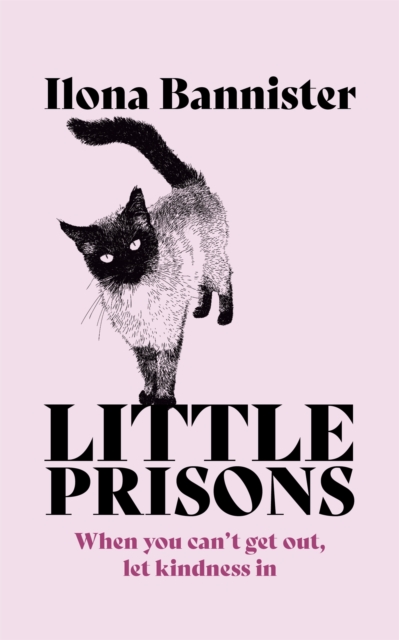 Little Prisons - Ilona Bannister