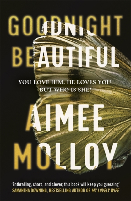 Goodnight, Beautiful - Aimee Molloy