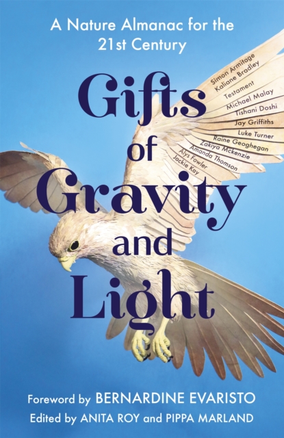 Gifts of Gravity and Light - Anita|marland Roy