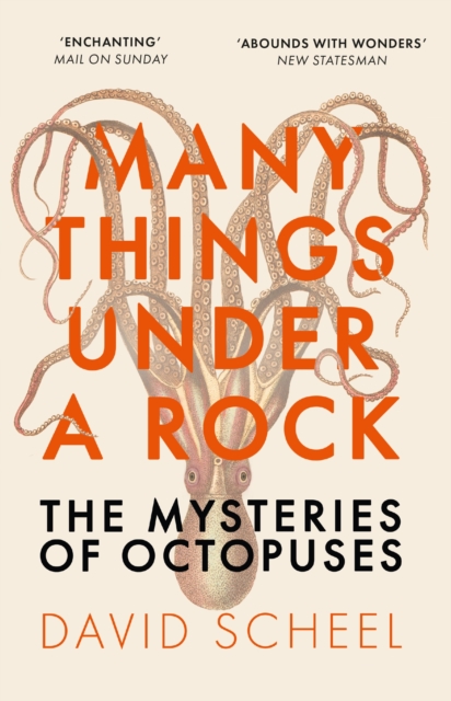 Many Things Under a Rock - David Scheel