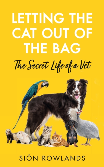 Letting the Cat Out of the Bag - Sion Rowlands