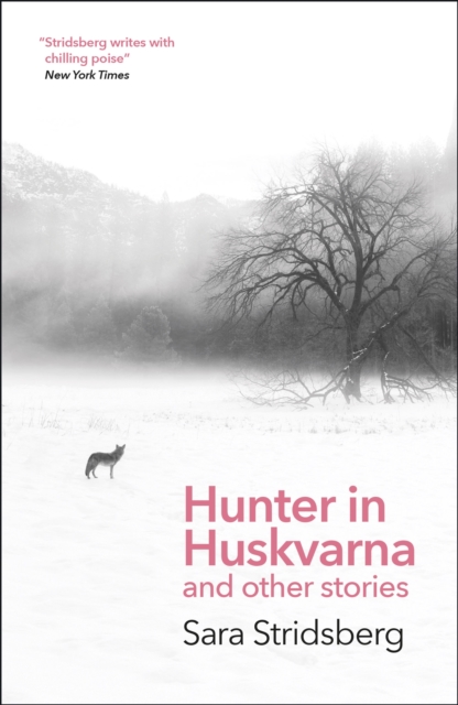 Hunter in Huskvarna - Sara Stridsberg