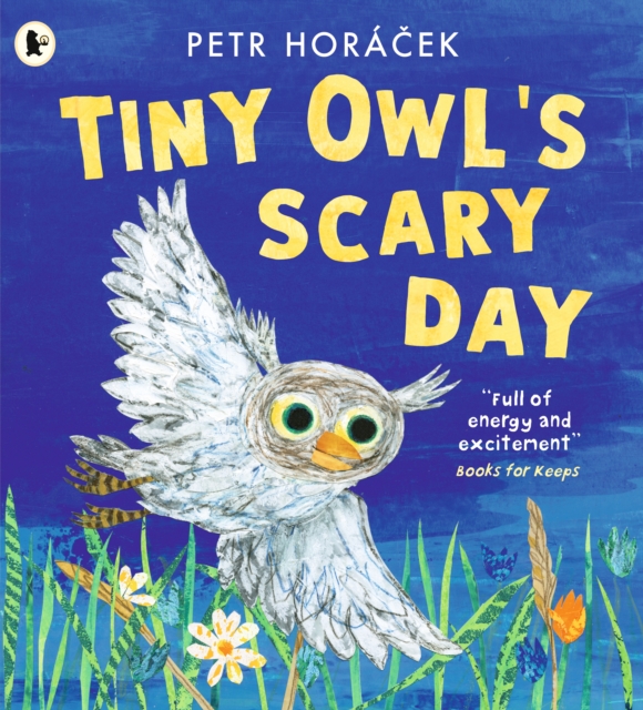 Tiny Owl's Scary Day - Petr Horacek