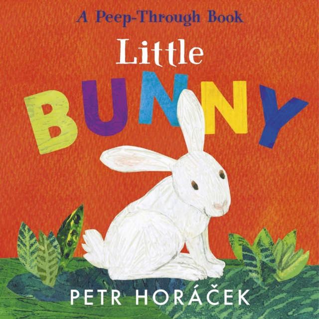 Little Bunny - Petr Horacek