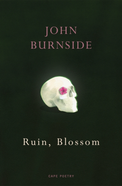 Ruin, Blossom - John Burnside