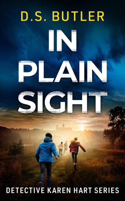 In Plain Sight - D. S. Butler