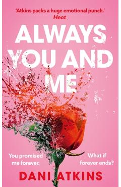 Always You and Me - Dani Atkins