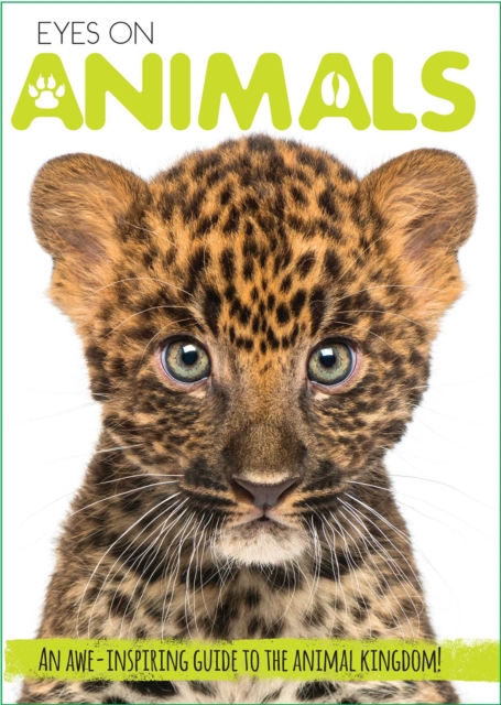 Eyes On Animals - Courtney Acampora