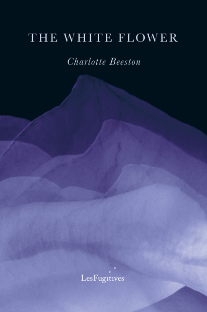 White Flower - Charlotte Beeston