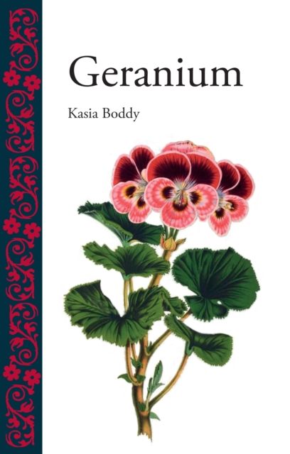 Geranium - Kasia Boddy