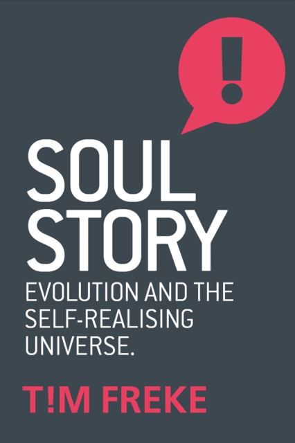 Soul Story - Tim Freke