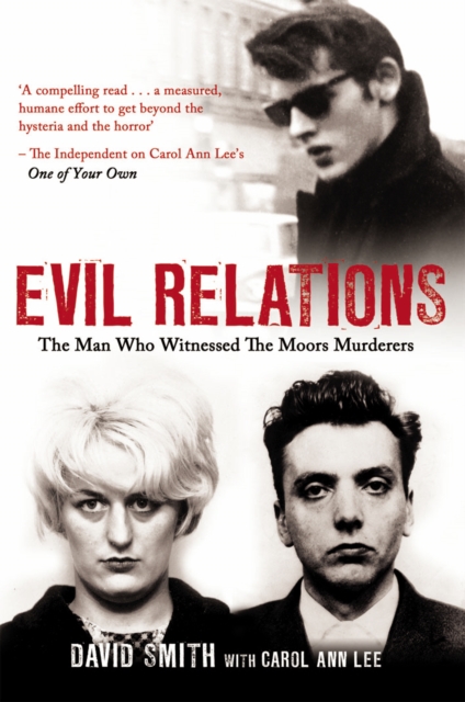 Evil Relations (formerly published as Witness) - Carol Ann|smith Lee