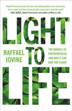 Coperta cărții 'Light to Life - Raffael Jovine'